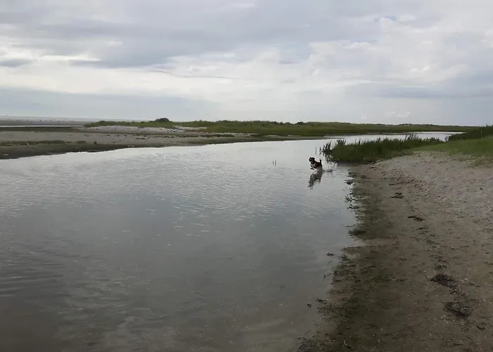 6 Person In Storvorde-by Traum Hébergement de vacances *